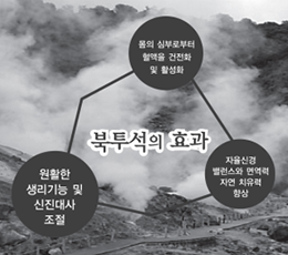 북투석의 효과