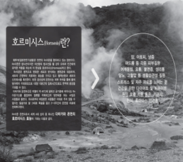 호르미시스 요법 효과